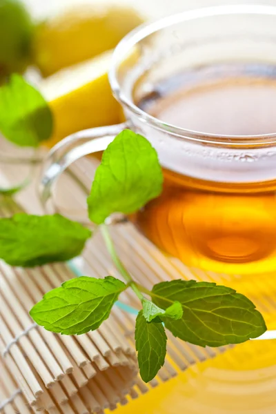 Thé de menthe fraîche dans une tasse en verre — Photo