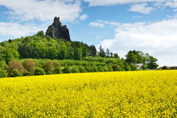 Castello di Trosky, regione paradisiaca della Boemia, Repubblica Ceca, Europa — Foto Stock