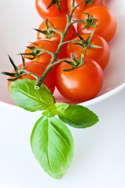 Taze kırmızı domates fesleğen yaprağı