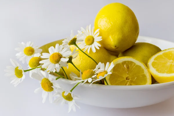 黄柠檬新鲜洋甘菊花在白板上 — 图库照片