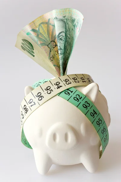 Czech finance - CZK money Czech crown - savings and piggy bank — Stock Photo, Image