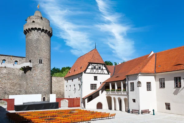 Готичний середньовічного замку Strakonice, Південний Богемія, Чеської Республіки — стокове фото