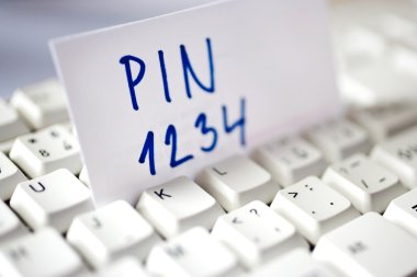 Internet Bankacılığı - PIN kodu ve erişim kontrol