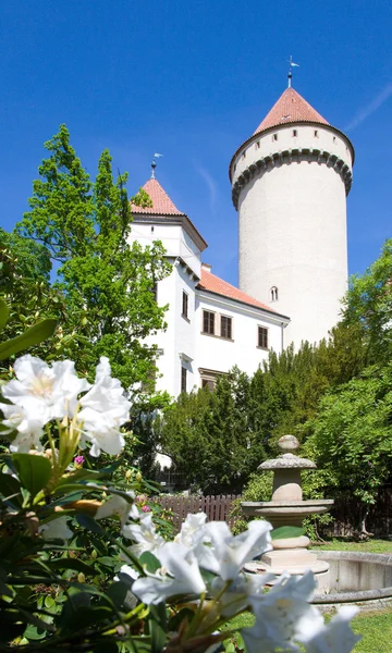 Konopiste castle near Benesov, Czech republic, Czech republic — Stock Photo, Image