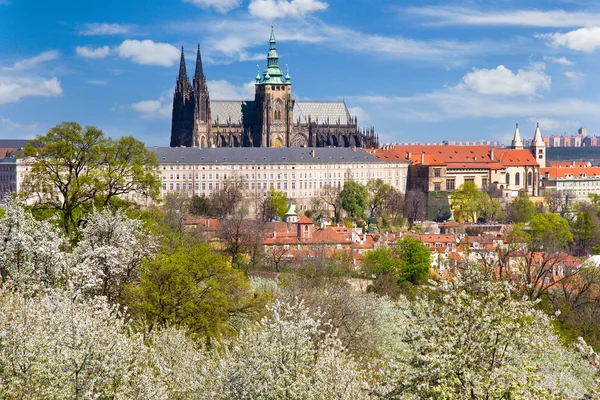 프라하 성곽과 적은 도시, 프라하 (유네스코), 체코 공화국 — 스톡 사진