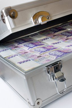 Çek para - banknotlar bir durumda