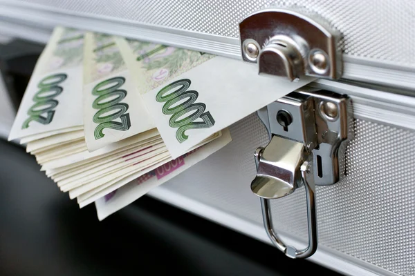 Czech money - banknotes in a case — Stock Photo, Image