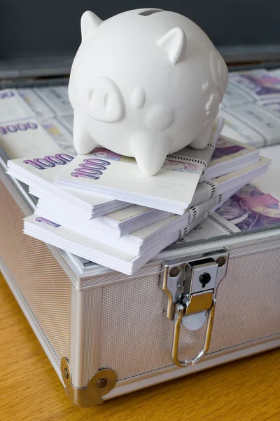 Czech money - banknotes in a case — Stock Photo, Image