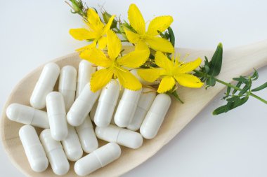 Ortak St John's wort - hypericum perforatum - doğal antidepresan