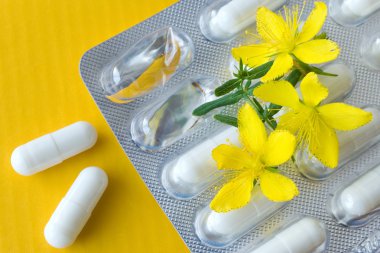 Ortak St John's wort - hypericum perforatum - doğal antidepresan
