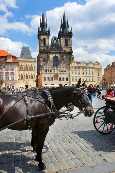 Plaza del casco antiguo, Praga (UNESCO), República Checa — Foto de Stock