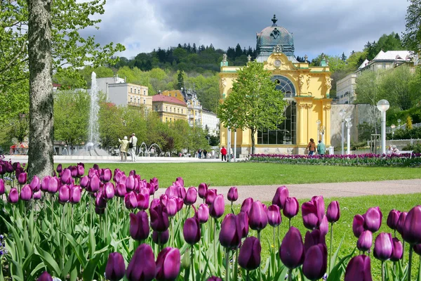 Singing fountain, spa Marianske lazne, Czech republic — Stock Photo, Image