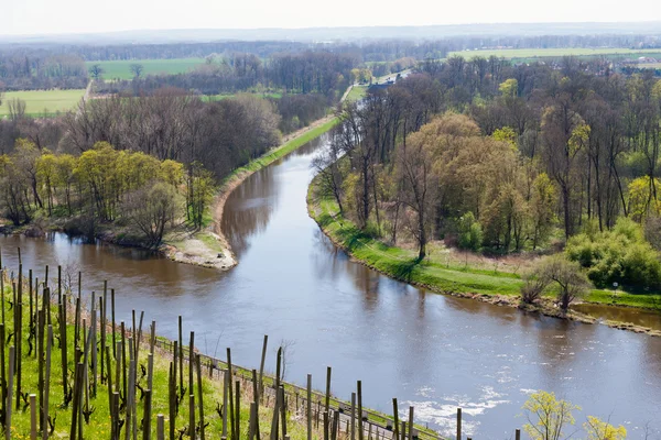 Labe río y viñedos, ciudad Melnik, República Checa — Foto de Stock