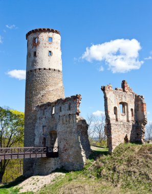 Kalıntıları Zviretice castle, Çek Cumhuriyeti, Çek Cumhuriyeti