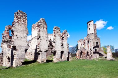 Ruins of Zviretice castle, Czech republic, Czech republic clipart