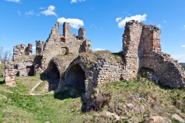 Kalıntıları Zviretice castle, Çek Cumhuriyeti, Çek Cumhuriyeti