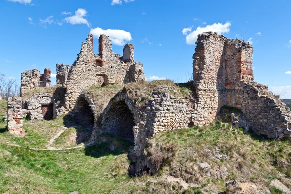 Ruins of Zviretice castle, Czech republic, Czech republic — Stock Photo, Image
