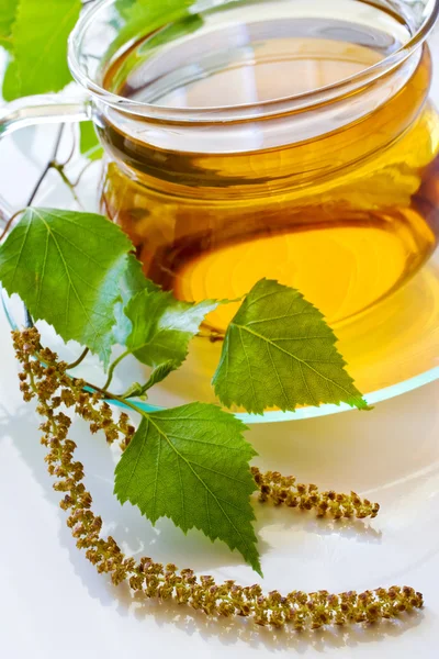 Betula pendula, thé de bouleau dans la tasse en verre - alternative moi — Photo