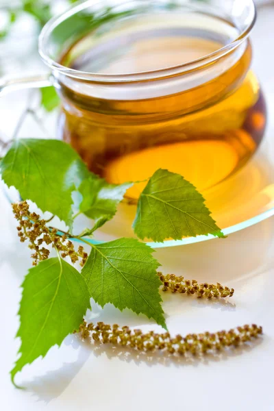 Betula pendula, birch tree tea in the glass cup - alternative me — Stock Photo, Image