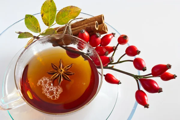 Canina rosa thé curatif avec des baies rouges mûres / rose hanche boisson / Pometum — Photo