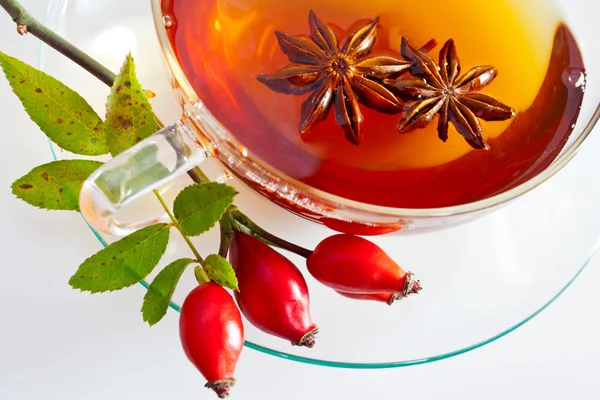 canina rosa şifalı çay olgun kırmızı çilek / gül kalça içki / Pometum