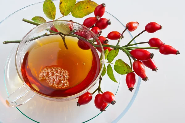 Canina rosa teh penyembuhan dengan buah berry merah matang / mawar hip drink / Pometum — Stok Foto