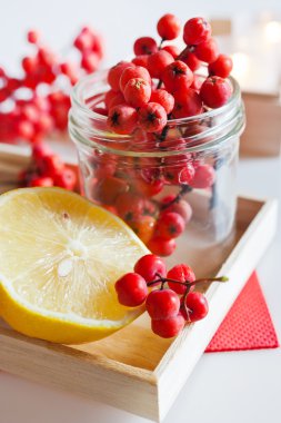 Sorbus aucuparia / kırmızı üvez meyveleri limon ile