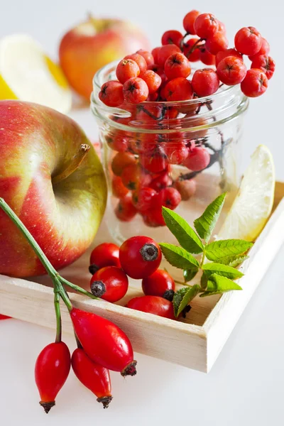 Autumnal berries - rosehip, rowan and apple — Stock Photo, Image