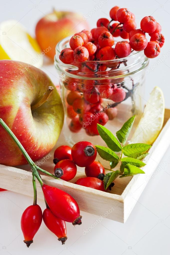 autumnal berries - rosehip, rowan and apple