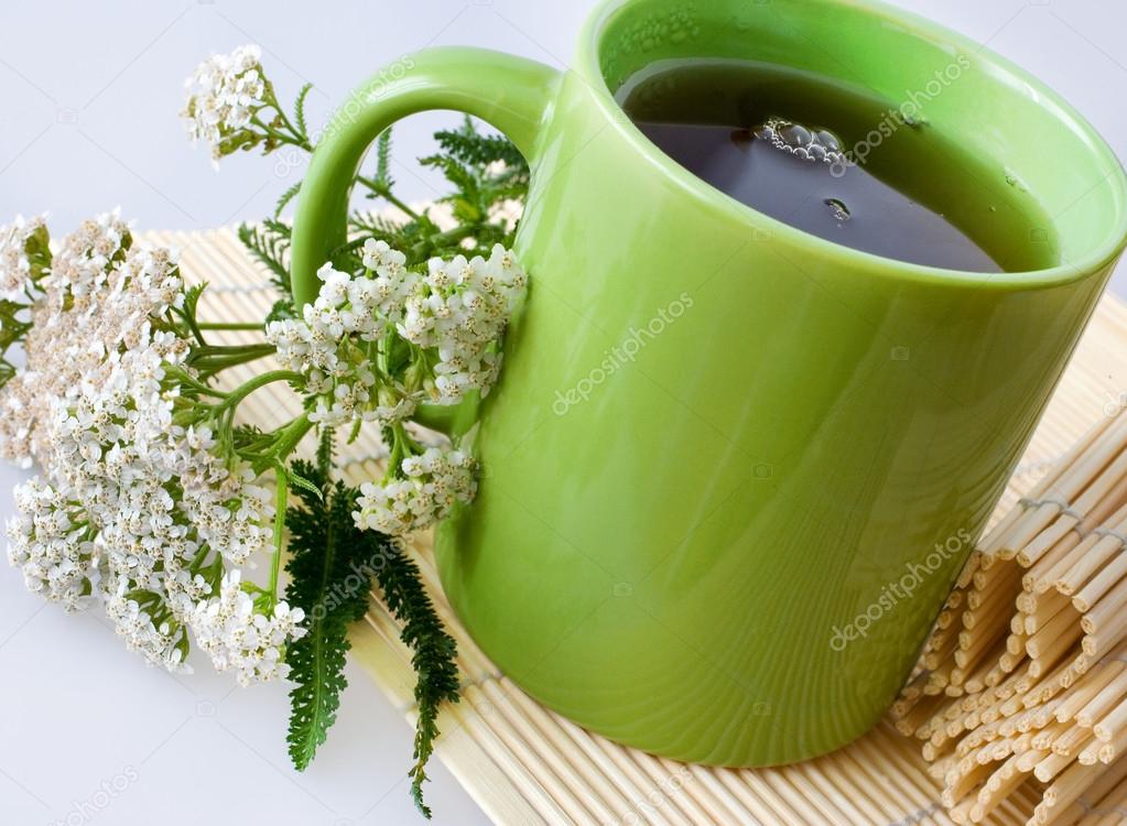 Achillea millefolium plant with flowers / fresh Yarrow tea