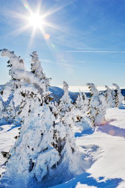 Krkonose (dev) mountains, Çek Cumhuriyeti