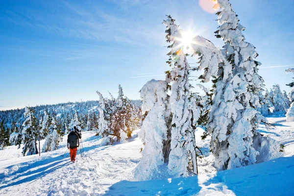 Krkonose (Giant) montagne, Repubblica Ceca — Foto Stock