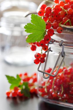 Kırmızı kuş üzümü çilek