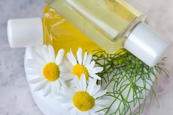 Herbal healing creme - camomile — Stock Photo, Image
