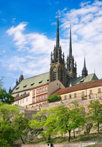 Cathedral of Saints Peter and Paul, Petrov, town Brno, Moravia,  Czech republic — Stock Photo, Image