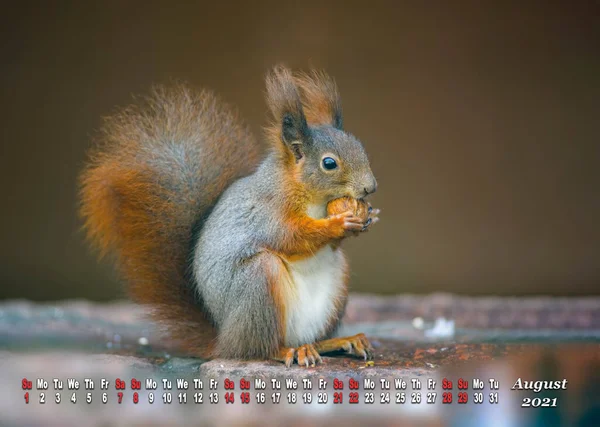 Una Hoja Calendario Para 2021 Con Animales Vivos Silvestres — Foto de Stock