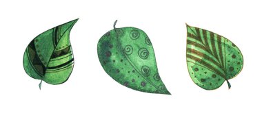 Boğulan suluboya yapraklar. Beyaz arkaplanda parlak renkli soyut yapraklar. Yeşil ve sarı sıçrama ve karalama grafikleri. Suluboya şekli beyazda izole edildi