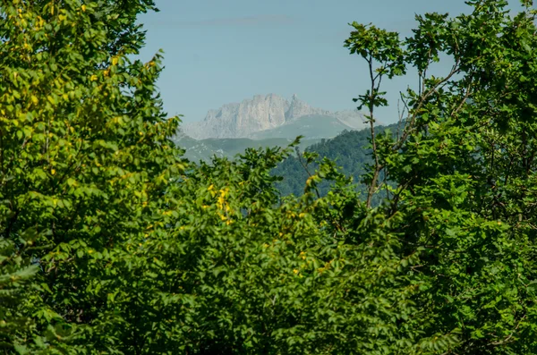 Landschap — Stockfoto