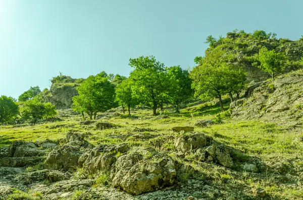 Landschap — Stockfoto