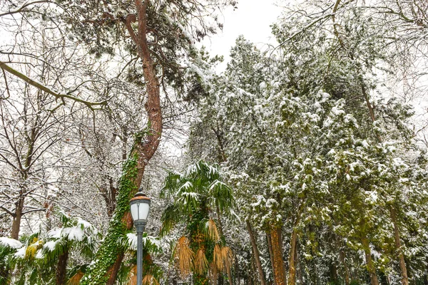 Paisaje invierno — Foto de Stock