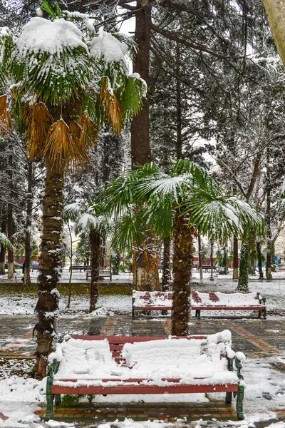 Paisagem inverno — Fotografia de Stock