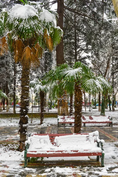 Paisagem inverno — Fotografia de Stock