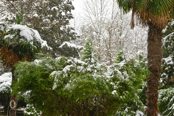 Paisagem inverno — Fotografia de Stock