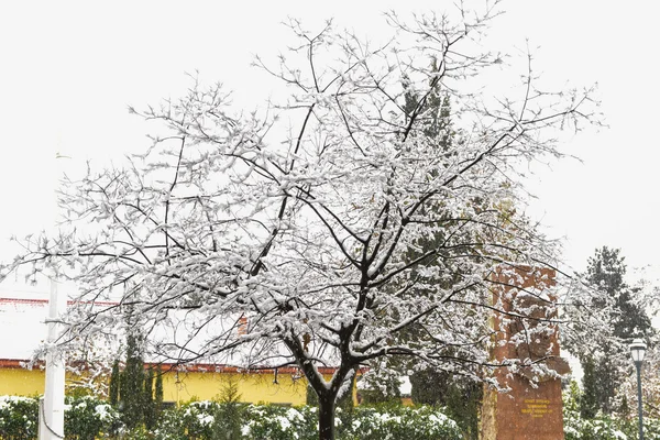 Winter landscape — Stock Photo, Image