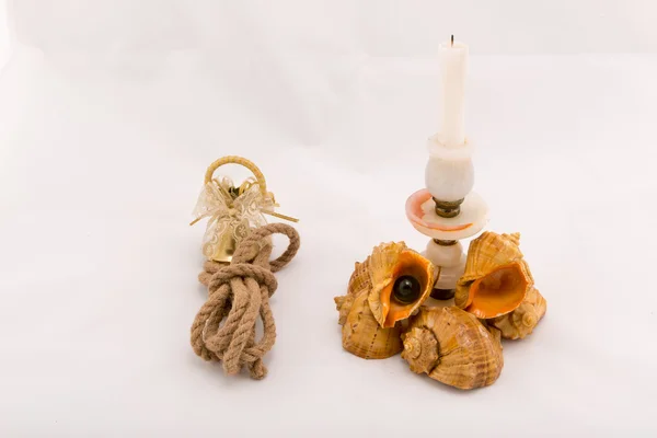 Cockleshells formlar ve nesneleri