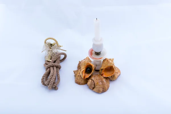 Cockleshells forms and objects — Stock Photo, Image