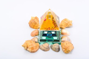 Derma cockleshells ve nesneleri