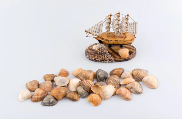 Derma cockleshells ve nesneleri