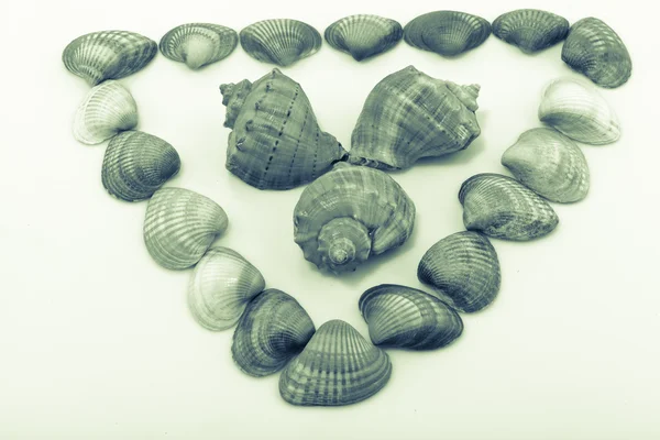 Farbenfrohe Muscheln und Objekte — Stockfoto