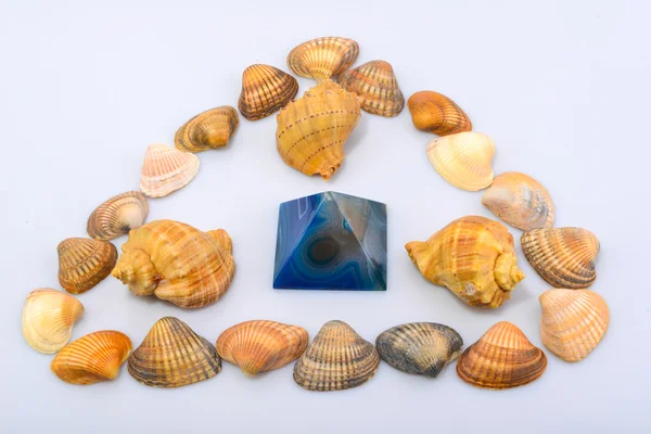 Colorfull cockleshells and objects — Stock Photo, Image